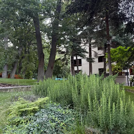 Forest Club Premium Апартаменти